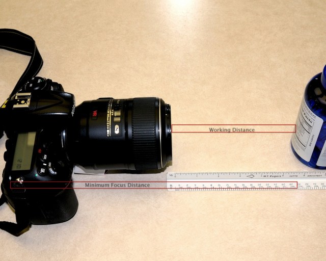 DSC_8086aac810Captionr107