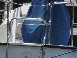 DSC_6447-300-810crctr